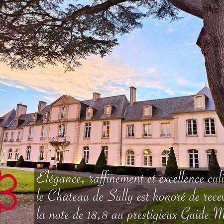Grand Hotel "Chateau De Sully" - Piscine & Spa -Teritoria Екстериор снимка